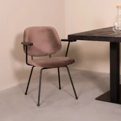 Eetkamerstoel Gastron Velvet