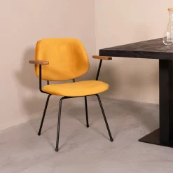 Eetkamerstoel Gastron Velvet