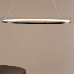 Hanglamp Isaias Ring LED 100cm, kleur zwart