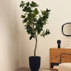 Kunstplant Ficus 210cm hoog, excl. sierpot