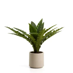 Kunstplant Neottopteris 70cm