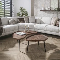 Organische Salontafel Alania Acaciahout, Set van 2 stuks