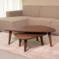 Organische Salontafel Gregg Mangohout, Set van 2 stuks