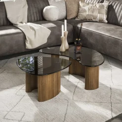 Organische Salontafel Kely, set van 2 stuks, Brons glas