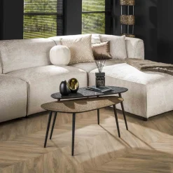 Organische Salontafel Marylouise Metaal, Set van 2 stuks, kleur goud/zwart