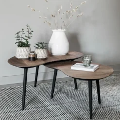 Organische Salontafel Organus Teakhout, Set van 2 stuks