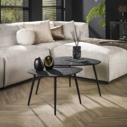 Organische Salontafel Thedore Set van 2 stuks, kleur Zwart