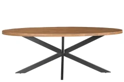 Ovale Eettafel Rocky Mangohout en staal