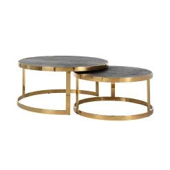 Salontafel Blackbone Eiken en staal, Set van 2 stuks, kleur Zwart / Goud