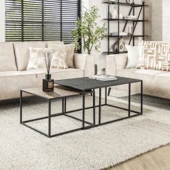 Salontafel Derrick Metaal, Set van 2 stuks