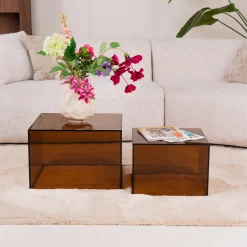 Salontafel Flavian Glas, Set van 2 stuks, kleur Bruin