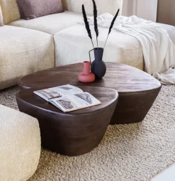 Salontafel Mila Set van 2 stuks Organisch, kleur Bruin