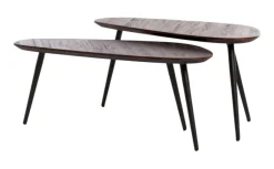 Salontafel Viejo Hout en metaal, Set van 2 stuks