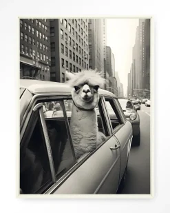 Wandkleed Alpaca In NY in maat en frame naar keuze