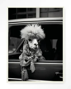 Wandkleed Alpaca In Taxi in maat en frame naar keuze