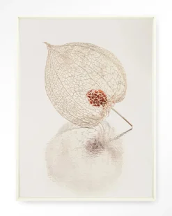 Wandkleed De Reflectie Van Vergankelijkheid In Lichte Tinten in maat en frame naar keuze