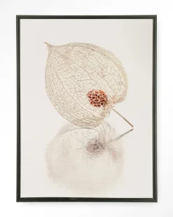 Wandkleed De Reflectie Van Vergankelijkheid In Lichte Tinten in maat en frame naar keuze