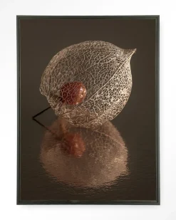 Wandkleed De Reflectie Van Vergankelijkheid In Bruintinten in maat en frame naar keuze