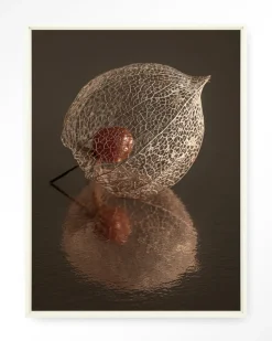 Wandkleed De Reflectie Van Vergankelijkheid In Bruintinten in maat en frame naar keuze