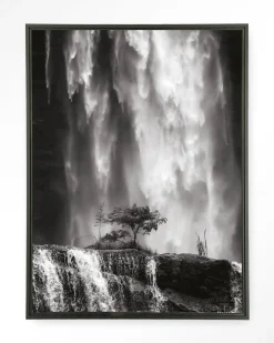 Wandkleed Germinate in maat en frame naar keuze