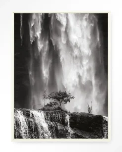 Wandkleed Germinate in maat en frame naar keuze