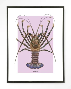 Wandkleed Langosta in maat en frame naar keuze