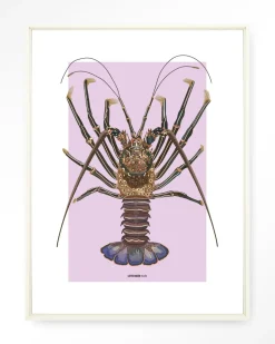 Wandkleed Langosta in maat en frame naar keuze