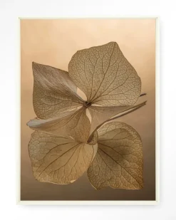 Wandkleed Leaf Me: Unfolded in maat en frame naar keuze