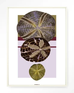 Wandkleed Marinus 1 in maat en frame naar keuze