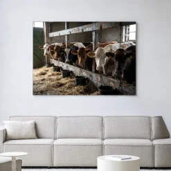 Wandkleed The Cow Barn in maat en frame naar keuze