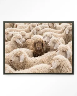 Wandkleed The Herd in maat en frame naar keuze
