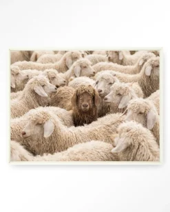 Wandkleed The Herd in maat en frame naar keuze