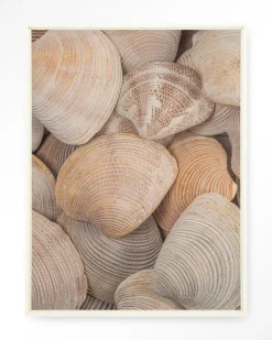 Wandkleed Tijdloze Rust: In Een Zee Van Schelpen in maat en frame naar keuze