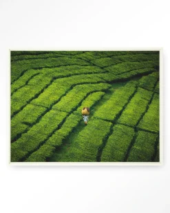 Wandkleed Tote Pengalengan in maat en frame naar keuze