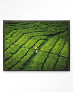 Wandkleed Tote Pengalengan in maat en frame naar keuze