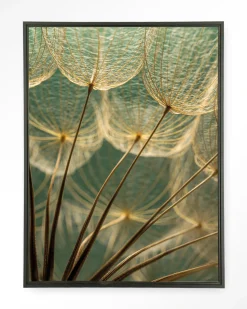 Wandkleed Van Abstractie Tot Detail in maat en frame naar keuze