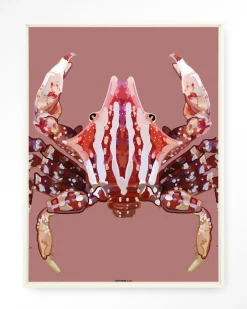 Wandkleed Villo Donus in maat en frame naar keuze