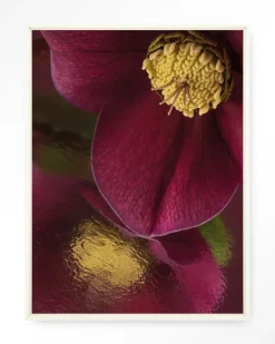 Wandkleed Weerspiegeling Van Een Kerstroos in maat en frame naar keuze